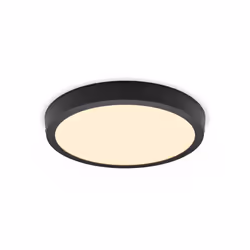 Philips Fonctionnel Plafonnier, Spot d'éclairage de surface, Ampoule(s) non remplaçable(s), LED, 2700 K, 1900 lm, Noir
