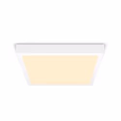 Philips Fonctionnel Plafonnier, Spot d'éclairage de surface, LED, 2700 K, 2000 lm, 220-240 V, Blanc