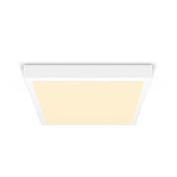 Philips Fonctionnel Plafonnier