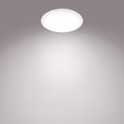 Philips Fonctionnel 8719514334991, LED, Ampoule(s) non remplaçable(s), 2300 lm, IP20, Blanc