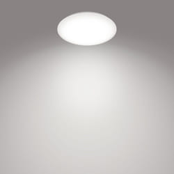 Philips Fonctionnel 8719514334991 éclairage de plafond Blanc Ampoule(s) non remplaçable(s) LED
