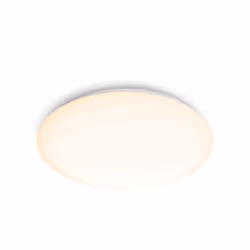 Philips Fonctionnel 8719514335110, LED, 2000 lm, IP20, Blanc