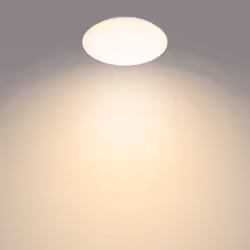 Philips Fonctionnel 8719514335110 éclairage de plafond Blanc LED