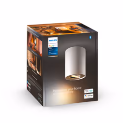 Philips Hue White ambiance Ext. spot unique Pillar