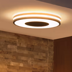 Philips Hue White ambiance Plafonnier Being - Vue supplémentaire 2