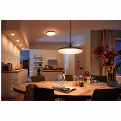 Philips Hue White ambiance Suspension Cher