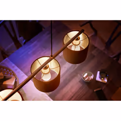 Philips Hue White Pack de 1 sphérique E14