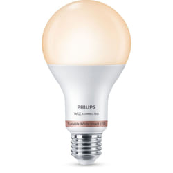 Philips Ampoule 13 W (éq. 100 W) A67 E27