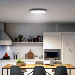 Philips Hue White ambiance Panneau lumineux rond Aurelle Hue, Éclairage de plafond intelligent, Blanc, Bluetooth, LED, Ampoul ...