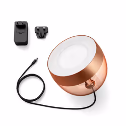 Philips Hue White and Color ambiance Iris cuivre édition spéciale