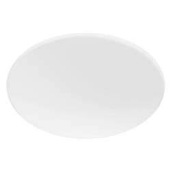 Philips Fonctionnel 8719514431720 éclairage de plafond Blanc Ampoule(s) non remplaçable(s) LED