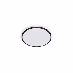 Philips Fonctionnel 8719514431966, LED, Ampoule(s) non remplaçable(s), 4000 K, 2000 lm, IP20, Noir