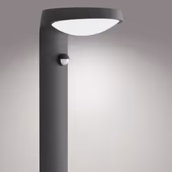 Philips 8719514476974 éclairage extérieur Piedestal extérieur/Lampadaire Ampoule(s) non remplaçable(s) LED Noir A
