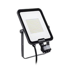 Philips Ledinaire 53475999 Projecteur LED Gris
