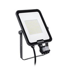 Philips Ledinaire 53479799 Projecteur LED Gris
