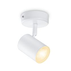 WiZ 1 spot orientable IMAGEO