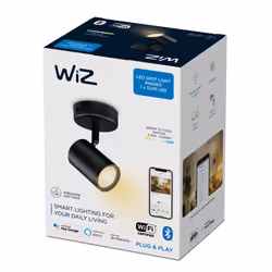 WiZ 1 spot orientable IMAGEO