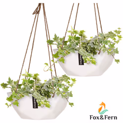 POT SUSPENDU POUR VOS PLANTES : Chaque pot plante intérieur en céramique suspendu mesure 28 cm de diamètre, 12,7 cm de hauteu ...