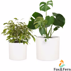 LES BIENFAITS DE LA NATURE À L'INTÉRIEUR DE VOTRE MAISON : Ces pots à plantes pour l'intérieur et l'extérieur vous permettent ...