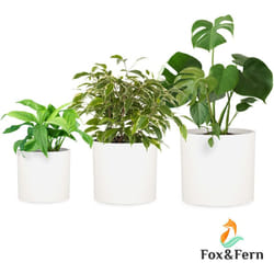 Blumfeldt - Pot de fleurs Gendt cache-pot lot de 3 tailles s/m/l ciment fibre de verre intérieur / extérieur