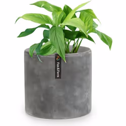 Pot de fleurs - BLUMFELDT - Venlo - Polystone - Intérieur et extérieur - 20 cm - Gris