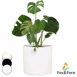 LES BIENFAITS DE LA NATURE À L'INTÉRIEUR DE VOTRE MAISON : Ces pots à plantes pour l'intérieur et l'extérieur vous permettent ...