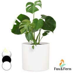 Blumfeldt - Jardinière en fibre de pierre pour intérieur/extérieur - Blanc