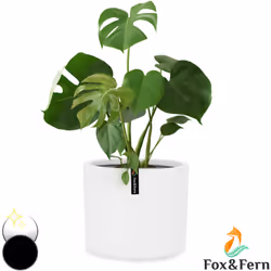 LES BIENFAITS DE LA NATURE À L'INTÉRIEUR DE VOTRE MAISON : Ces pots à plantes pour l'intérieur et l'extérieur vous permettent ...