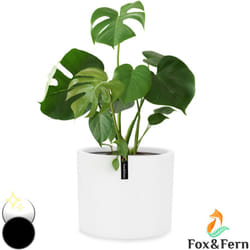 Blumfeldt - Fox & Fern Pot de Fleur Interieur et Extérieur, Jardinieres Exterieur, Pot Plante Résistant uv et Gel avec Bouchon de Drainage,