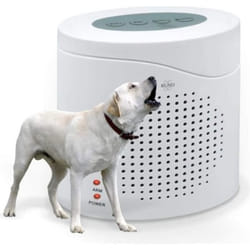 ELRO ARD51 - Sonnette de surveillance avec aboiement de chien réaliste en 3D