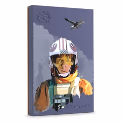 Seagate Game Drive Luke Skywalker™ Special Edition FireCuda, 2 To, 3.2 Gen 1 (3.1 Gen 1), Noir