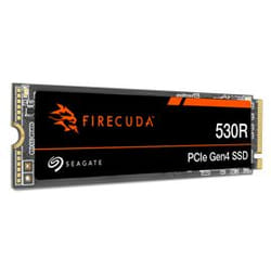 Seagate FireCuda 530R M.2 1 To PCI Express 4.0 NVMe 3D TLC
