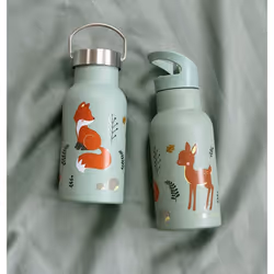 A Little Lovely Company DBSSFF41 Utilisation quotidienne 350 ml Acier inoxydable Multicolore