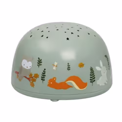 A Little Lovely Company 402991 lumière de nuit pour bébé Autonome Vert, Multicolore LED