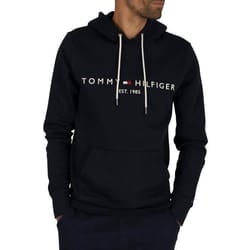 Sweat à capuche - Tommy Hilfiger - Core - Bleu - Col capuche - Manches longues