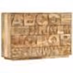 vidaXL Meuble alphabétique avec 6 tiroirs 120x35x79 cm Manguier massif