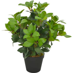 Vidaxl - Plante artificielle avec pot Laurier Vert 40 cm
