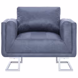 VidaXL 282154 fauteuil