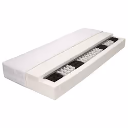 VidaXL 282810 matelas Matelas à ressorts