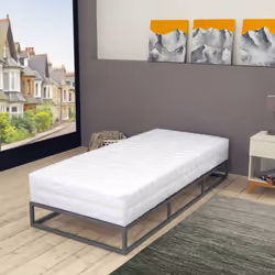 VidaXL 282811 matelas Taille lit simple/twin Matelas à ressorts