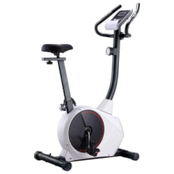 VidaXL 91907 Vélo d'appartement Vélo vertical