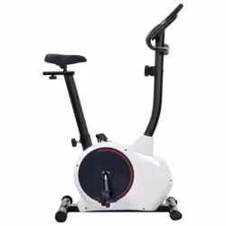 VidaXL 91907 Vélo d'appartement Vélo vertical