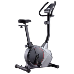 VidaXL 91909 Vélo d'appartement Vélo vertical
