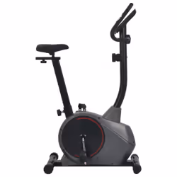 VidaXL 91909 Vélo d'appartement Vélo vertical