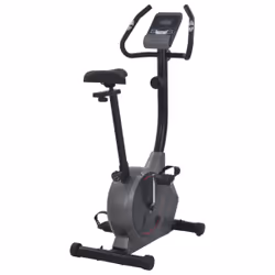 VidaXL 91909 Vélo d'appartement Vélo vertical