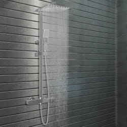 Vidaxl - Ensemble de douche à deux têtes et thermostat Acier inoxydable