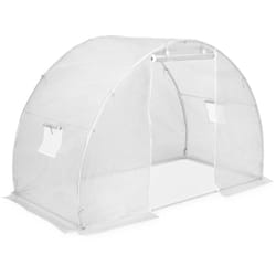 Serre 4,5 m² 300x150x200 cm Vidaxl