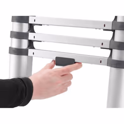 VidaXL FlexLine 260 Echelle télescopique Argent