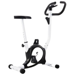 VidaXL 92009 Vélo d'appartement Vélo vertical