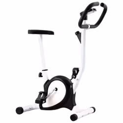 VidaXL 92009 Vélo d'appartement Vélo vertical